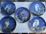 Porseleinen bordjes met uilen van Pollyana Pickering, Ophalen of Verzenden, Zo goed als nieuw, Porselein, Bord of Schaal