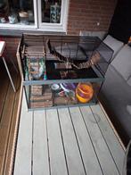 Hamster kooi  met diverse spulletjes er bij, Dieren en Toebehoren, Hamster, Geslacht onbekend, Januari, Tam