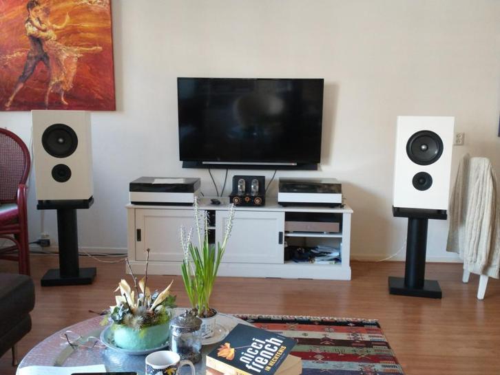 TG Acoustics Plutone, Audio, Tv en Foto, Luidsprekers, Zo goed als nieuw, Front, Rear of Stereo speakers, 120 watt of meer, Overige merken