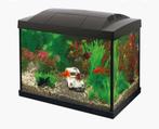 Aquarium 16 liter (paar weken oud), Dieren en Toebehoren, Vissen | Aquaria en Toebehoren, Ophalen of Verzenden, Zo goed als nieuw