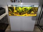 Compleet aquarium 160 liter met extras, Dieren en Toebehoren, Vissen | Aquaria en Toebehoren, Gebruikt, Ophalen, Gevuld zoetwateraquarium