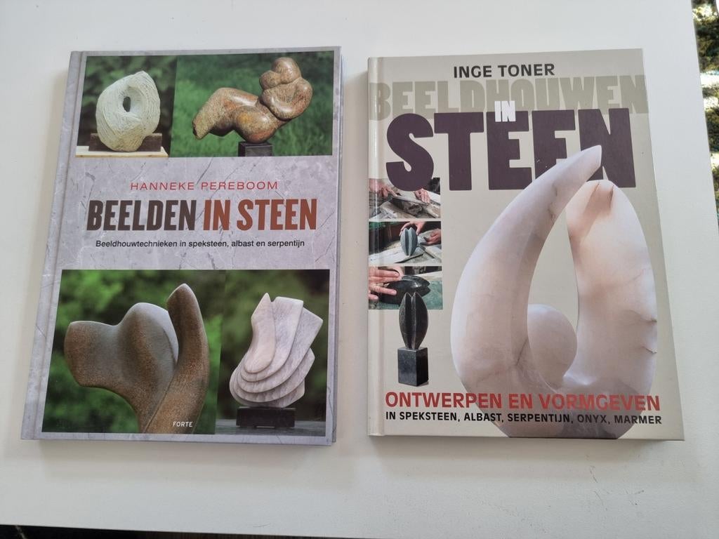 Beelden in Steen & Beeldhouwen in Steen Boeken, Ophalen of Verzenden, Gelezen, Kleien en Boetseren, Hanneke Pereboom, Inge Toner