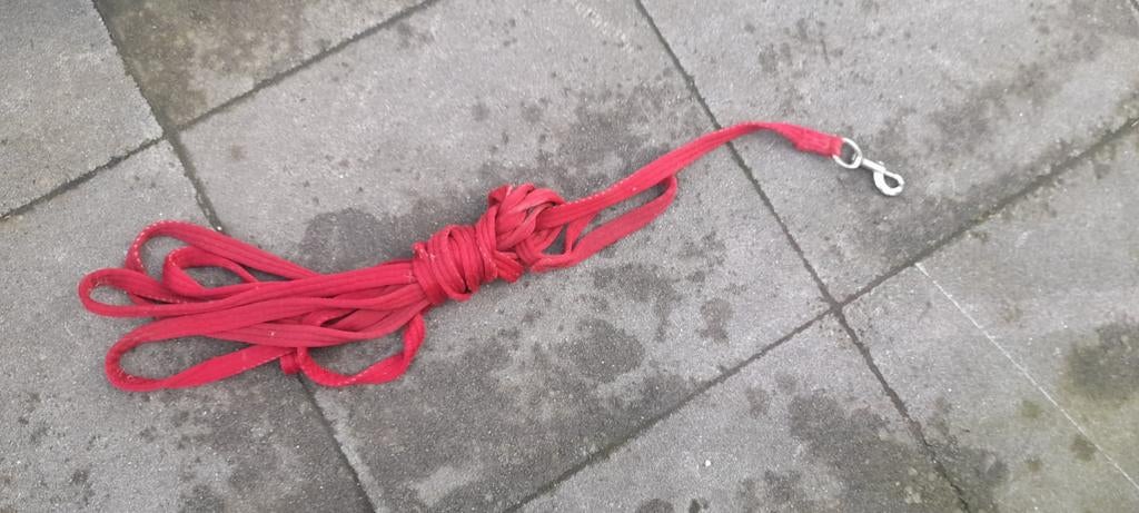 Longeerlijn zacht paard, Ophalen of Verzenden