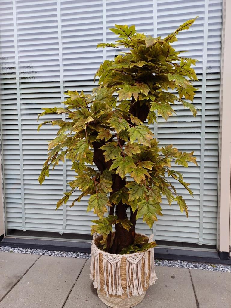 Kunstplant 165cm hoog inclusief mand, Ophalen of Verzenden, Nieuw