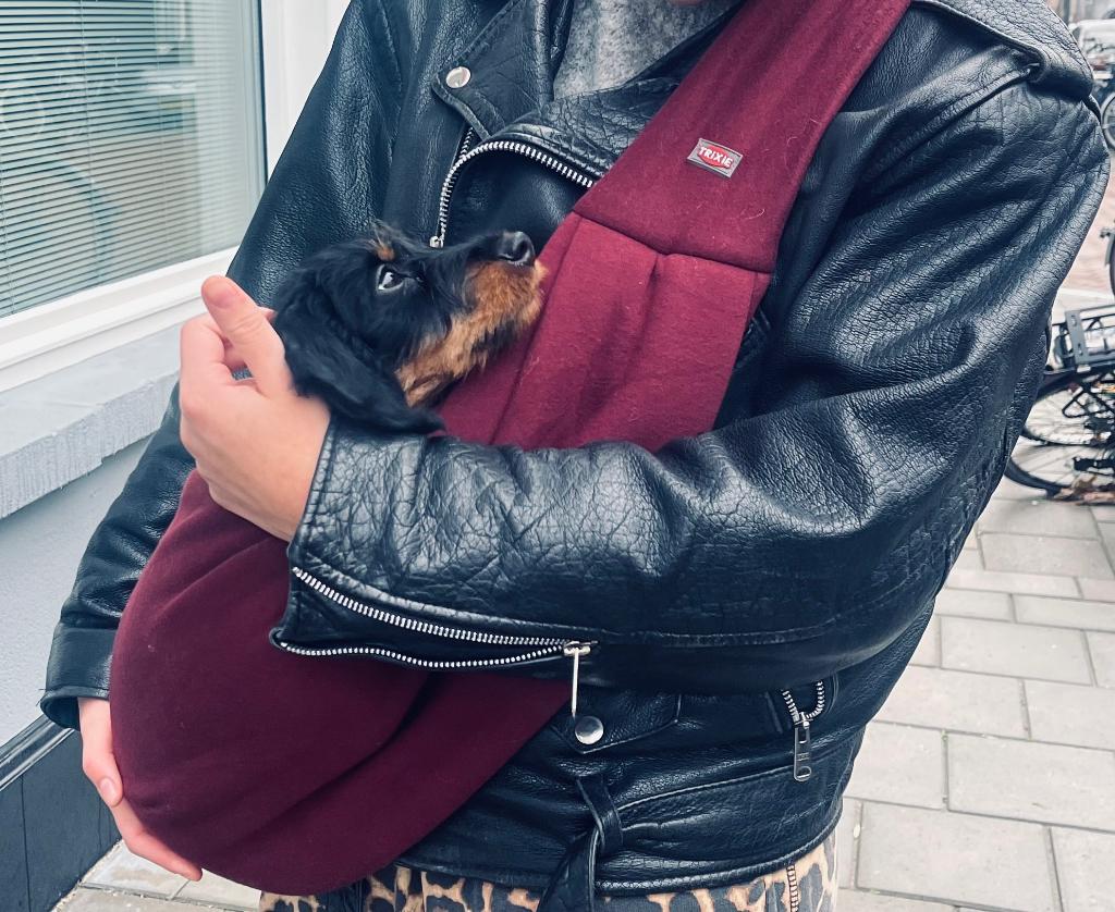 Puppy spullen, Ophalen, Zo goed als nieuw