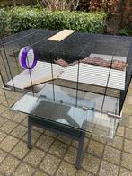 Groot hamsterhok in prima staat, Dieren en Toebehoren, Knaagdieren en Konijnen | Hokken en Kooien, Gebruikt, Minder dan 75 cm
