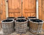 Mand rond Ø 30 cm hoog 30 cm gevlochten planten PER STUK, Overige materialen, Gebruikt, Mand, Rond