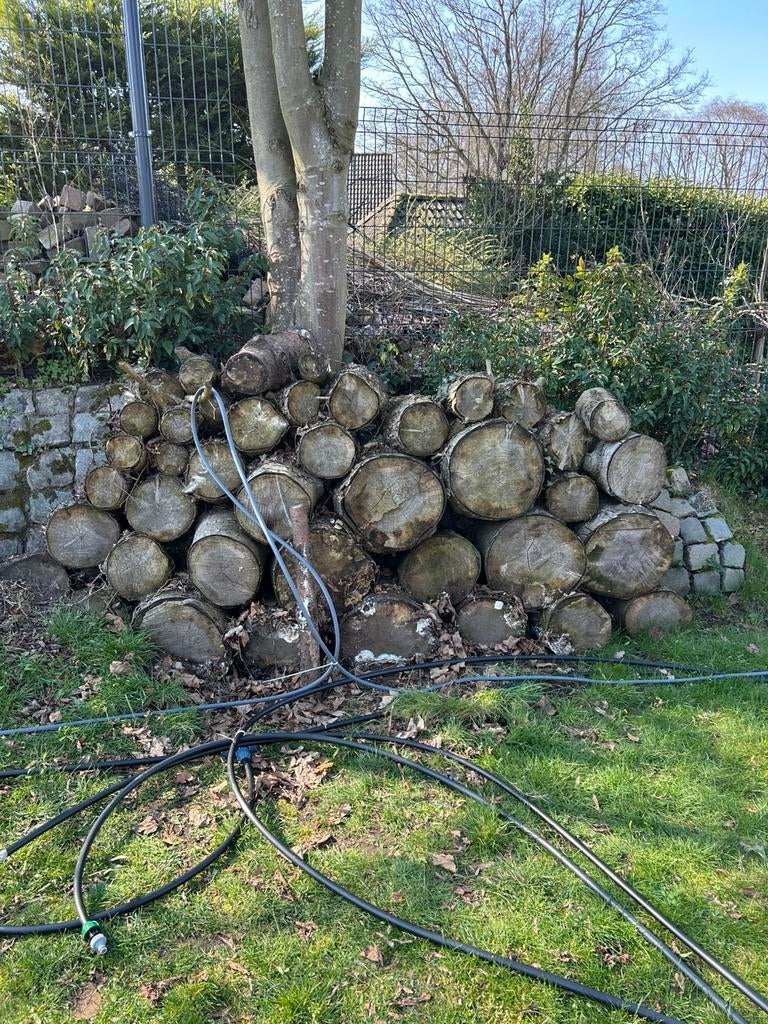 Haardhout gratis, Tuin en Terras, Haardhout, Minder dan 3 m³, Ophalen