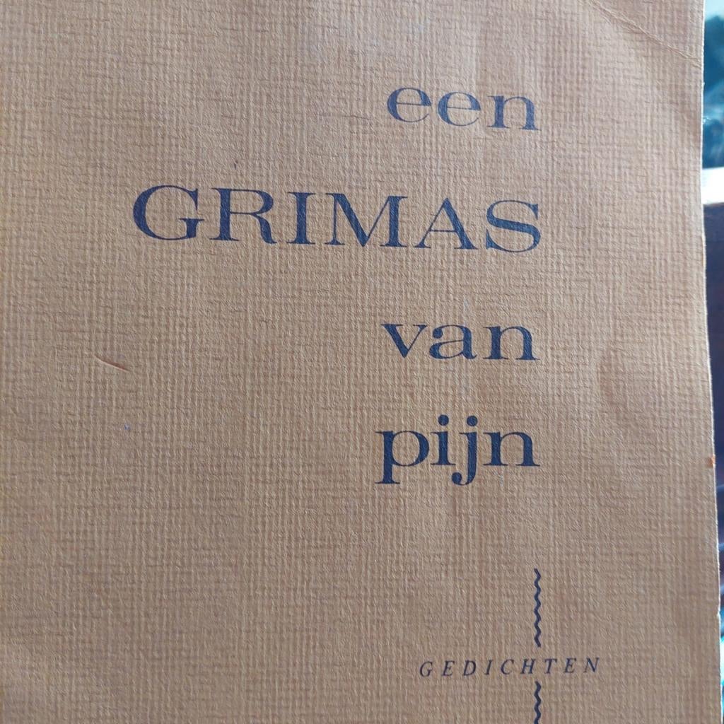 Een Grimas van Pijn - Gedichten, Boeken, Ophalen of Verzenden, Eén auteur, Gelezen, Mirjam van Gisteren