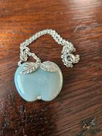 Hanger met zilveren ketting, Sieraden, Tassen en Uiterlijk, Ophalen of Verzenden, Zo goed als nieuw, Zilver, Zilver