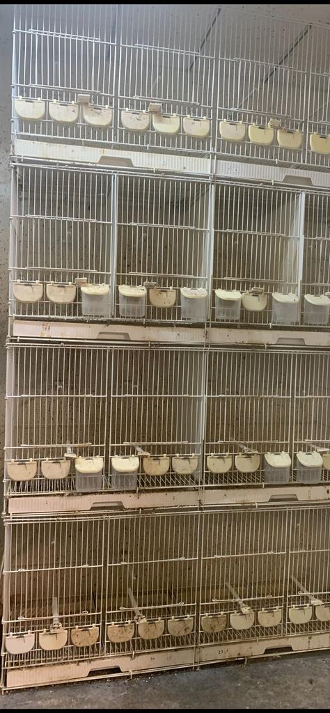4 kweekkooien vogels, Ophalen of Verzenden, Gebruikt, Aluminium, Broedkooi of Kweekkooi