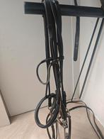 Rondgenaaid Dobert stang en trens hoofdstel, Ophalen, Dressuur, Geen, Geen