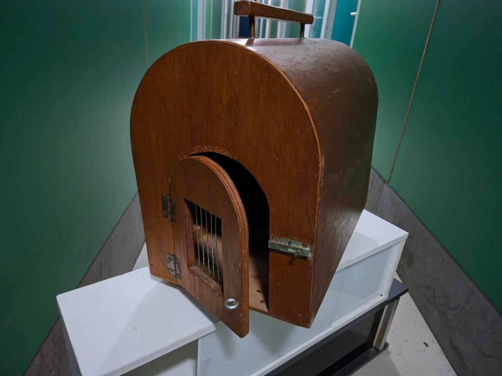 Katten reiskoffer hout antiek, Dieren en Toebehoren, Ophalen