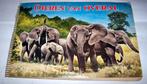 Prachtig vintage plaatjesalbum-Dieren van overal deel 1., Boeken, Ophalen of Verzenden, Zo goed als nieuw, Han Rensenbrink, Plaatjesalbum