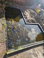 Vijverbak, Ophalen, Gebruikt