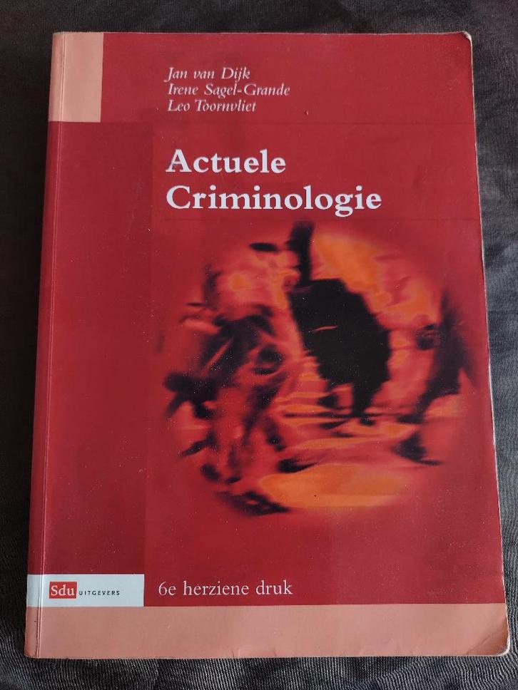 Actuele criminologie (v Dijk, Sagel-Grande & Toornvliet), Boeken, Studieboeken en Cursussen, Zo goed als nieuw, WO, Alpha, Ophalen of Verzenden