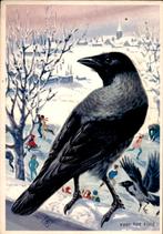Voor het kind, bonte kraai, Ko van den Broecke 1966, Verzenden, 1960 tot 1980, Gelopen, Vogel