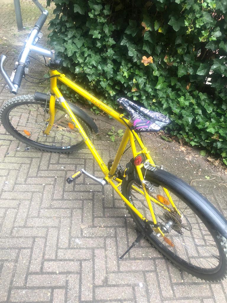 Leuke Vintage Giant mountainbike, Fietsen en Brommers, Fietsen | Heren | Herenfietsen, Ophalen, Gebruikt, Versnellingen, Giant