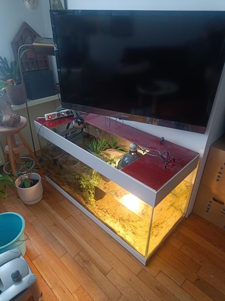 Aquarium 125x50x50. oud, Dieren en Toebehoren, Vissen | Aquaria en Toebehoren, Ophalen, Gebruikt, Leeg aquarium