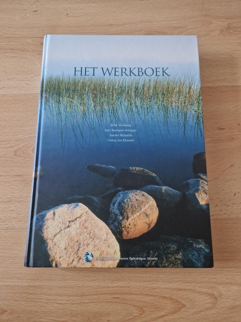 Boek het werkboek wibe veenbaas phoenix opleiding, Boeken, Studieboeken en Cursussen, Ophalen of Verzenden, Beta, Zo goed als nieuw
