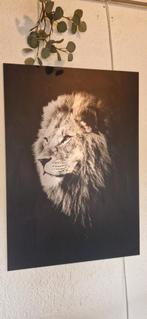 Rvs plaat/ schilderij leeuw zwart en zilver 70x100, Ophalen