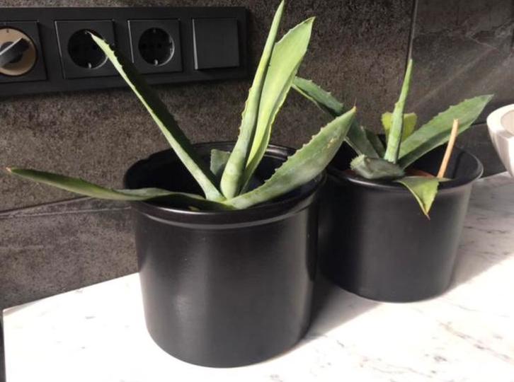 vintage keramische kwaliteit bloempotten bio planten, Tuin en Terras, Bloempotten, Zo goed als nieuw, Terracotta, Binnen, Minder dan 40 cm