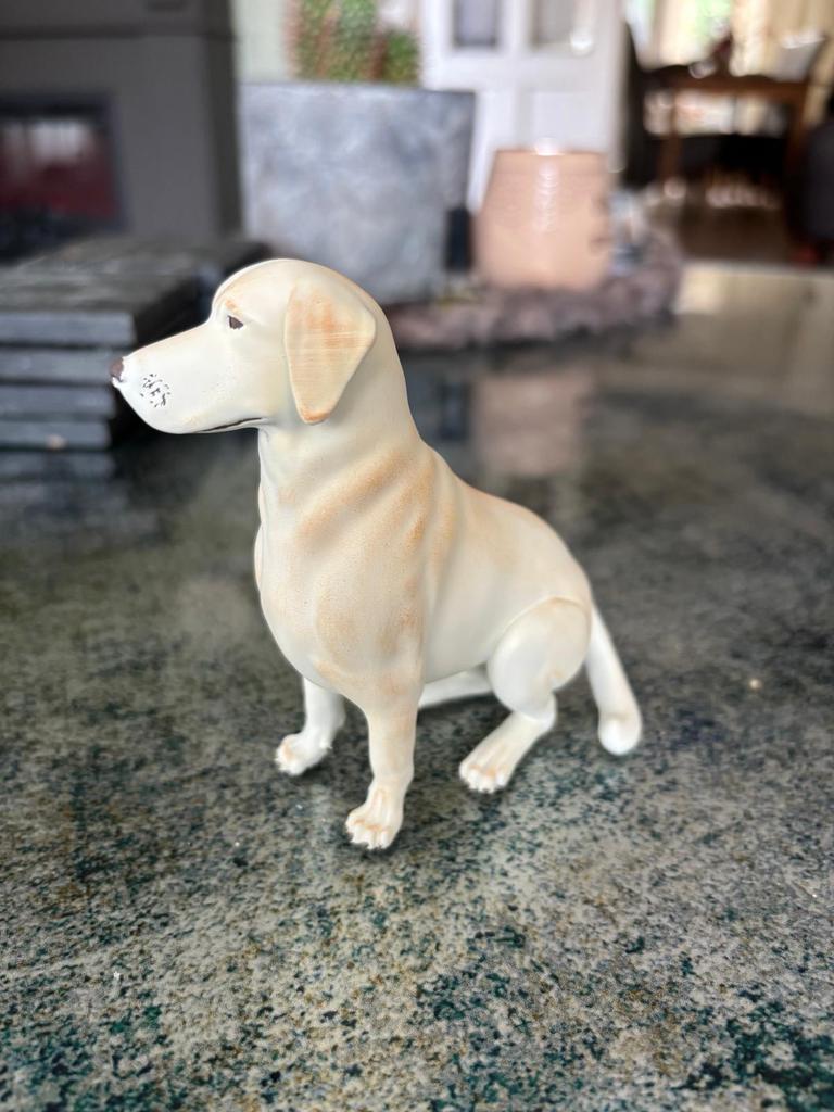 Mooie 3D print Labrador, Ophalen of Verzenden, Gebruikt, Hond of Kat, Beeldje of Figuurtje