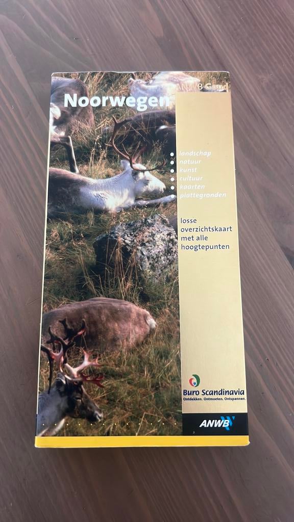 H. Hoogendoorn - Noorwegen, Boeken, Europa, H. Hoogendoorn, Ophalen of Verzenden, Zo goed als nieuw