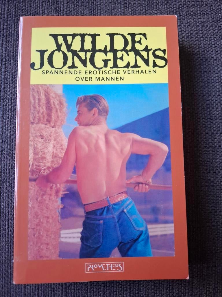 Wilde jongens (erotische verhalen) Gay, Verzenden, Gelezen