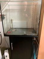 Aquarium met onderkast, Ophalen, Gebruikt, Leeg aquarium