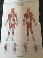 Poster medipreventie, Ophalen, Gebruikt, A1 t/m A3, Overige vormen