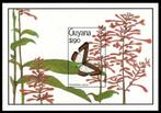 GUYANA 72 - Dieren: insecten (vlinder), Ophalen of Verzenden, Postfris, Dier of Natuur