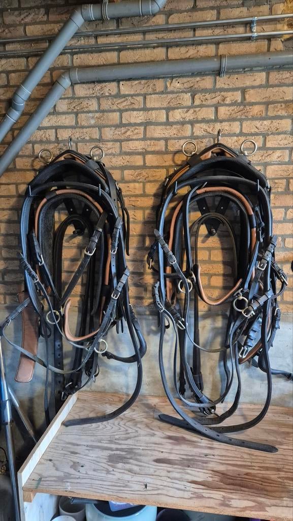 Ideal cob dubbelspan tuig, Dieren en Toebehoren, Ophalen, Overige soorten