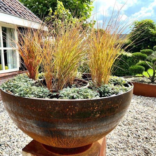 cortenstaal bloembak, plantenbak, bolvorm, rond, Rond, Nieuw, Ophalen of Verzenden, Balkon