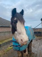 Verzorg(st)er gezocht, Ophalen