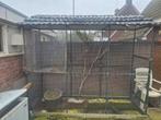 Voliere te koop Bieden, Dieren en Toebehoren, Vogels | Hokken en Kooien, Ophalen of Verzenden, Zo goed als nieuw, Aluminium, Volière