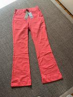 Nieuw! Andcowoman broek Penelope maat M, Maat 38/40 (M), Nieuw, Oranje, Ophalen of Verzenden