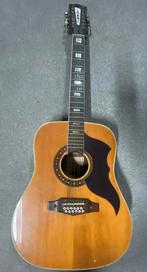 EKO 12-snarige Westerngitaar - Vintage Model, Ophalen of Verzenden, Gebruikt, Western- of Steelstringgitaar, 12-snarig