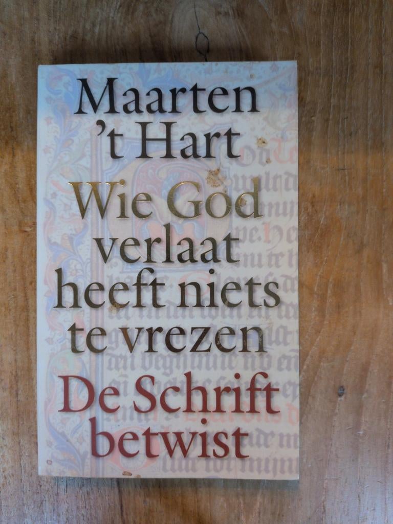 Maarten 't Hart - Wie God verlaat heeft niets te vrezen, Boeken, Romans, Ophalen, Gelezen, Maarten 't Hart, Nederland