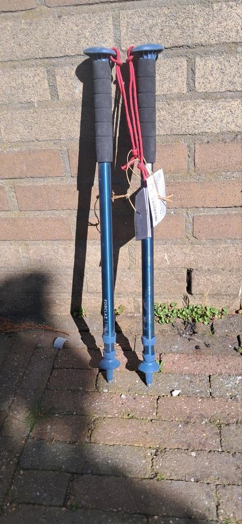 Forclaz 100 Wandelstokken - Set van 2, Sport en Fitness, Bergsport en Wandelen, Ophalen, Zo goed als nieuw, Wandelstok