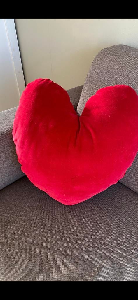 Kussen, Ophalen of Verzenden, Zo goed als nieuw, Vierkant