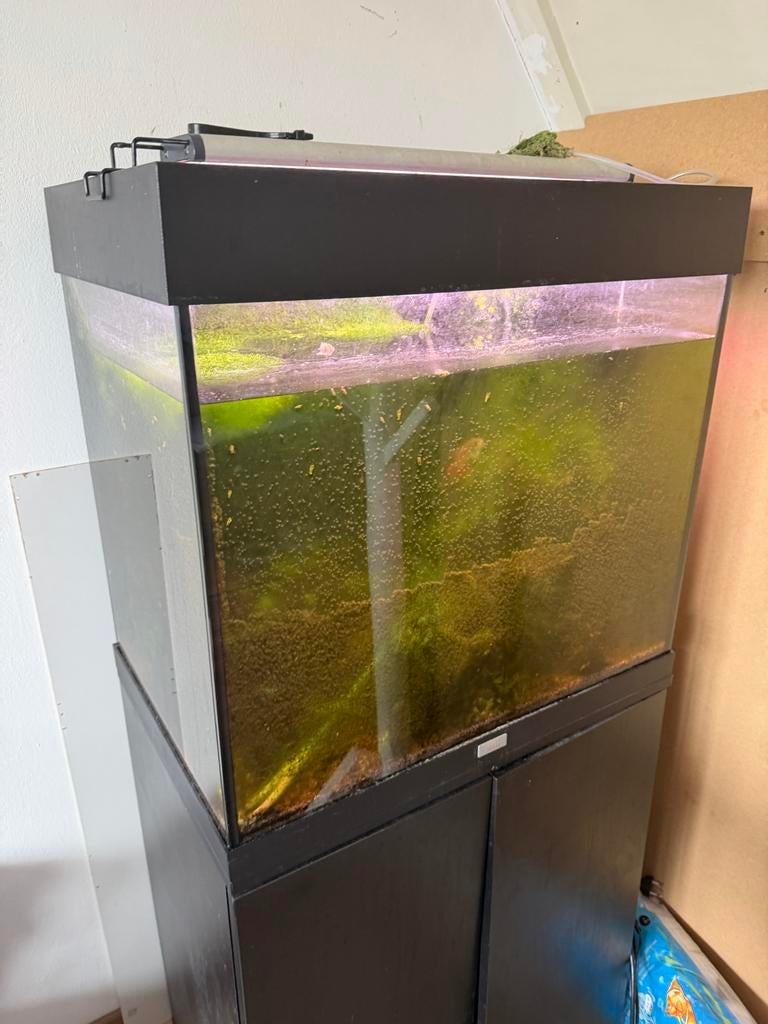 Juwel Lido 200, Ophalen, Gebruikt, Gevuld zoetwateraquarium, Juwel