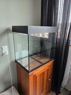 Gratis Zwarte Juwel Lido 120 aquarium, Ophalen, Gebruikt, Juwel, Inclusief deksel