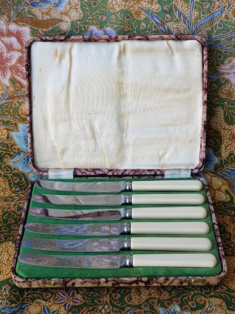 Zes mooie oude botermessen uit Engeland in een etui 18,3 cm., Antiek en Kunst, Antiek | Bestek, Ophalen of Verzenden