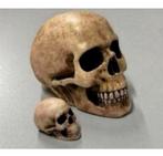 GOOD GUY SKULL Handgemaakt schedel 2x mini Quirky Goth Gift, Verzamelen, Beelden en Beeldjes, Ophalen of Verzenden, Nieuw, Mens