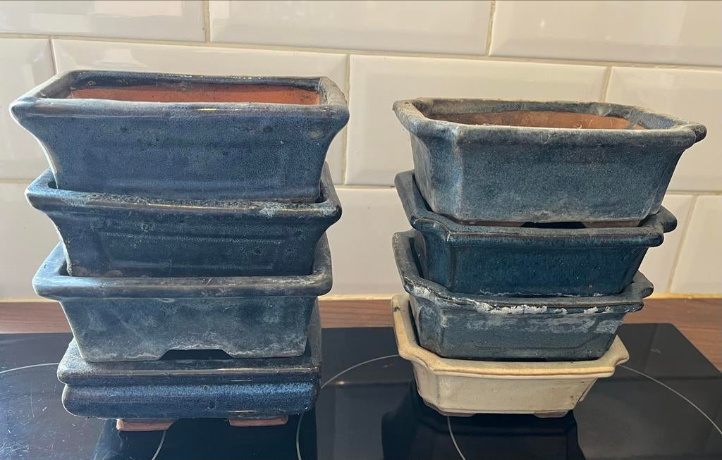 Set van 8 gebruikte bonsai schaaltjes, Ophalen, Overige materialen, Gebruikt, Minder dan 30 cm