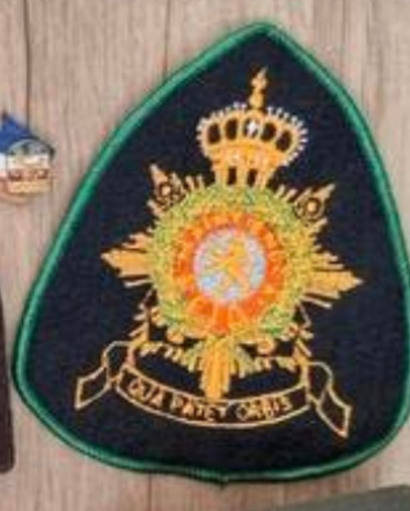 Korps mariniers embleem, Ophalen of Verzenden, Marine, Nederland, Embleem of Badge