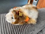 Mooie vintage cavia Swinny guinea pig knopf im ohr Steiff, Ophalen of Verzenden, Overige typen