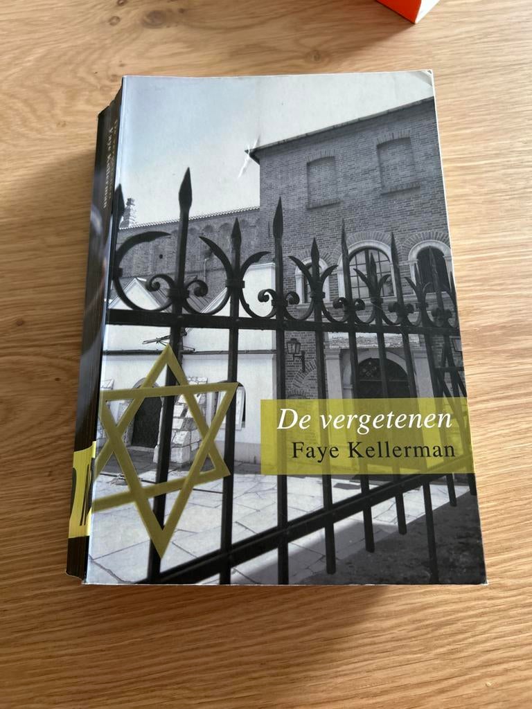 De vergeten - Faye Kellerman (Thriller), Boeken, Romans, Gelezen, Nederland, Ophalen of Verzenden