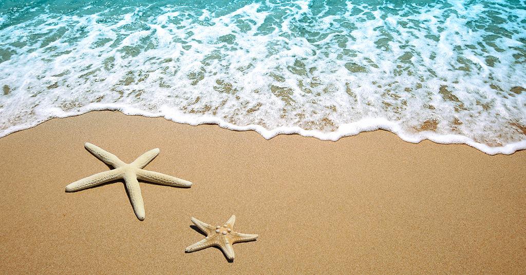 Reisgenoot gezocht – Naturistenvakantie